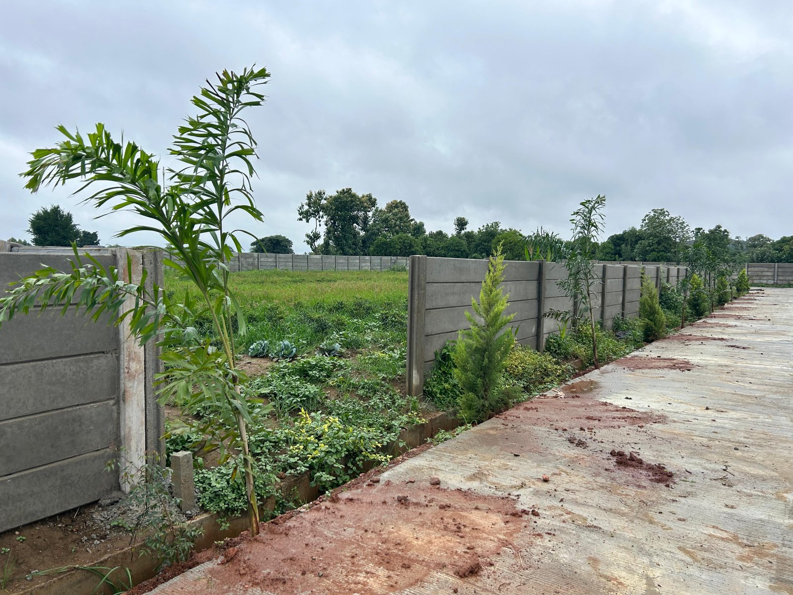 Farmland Investment Opportunity in Hubli-Dharwad, Karnataka - Near NH-48 Highway
